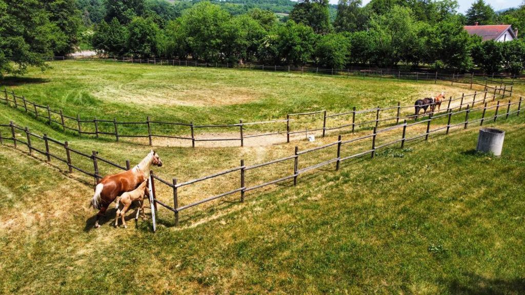 הוילה Kruševac Amigosranch מראה חיצוני תמונה