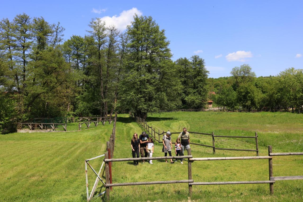 הוילה Kruševac Amigosranch מראה חיצוני תמונה